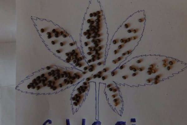 Ссылки на кракен блэкспрут
