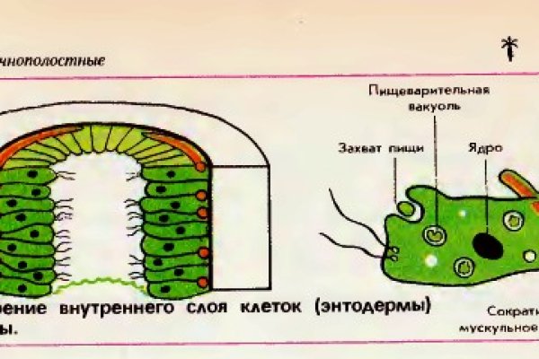Кракен ссылка trikky