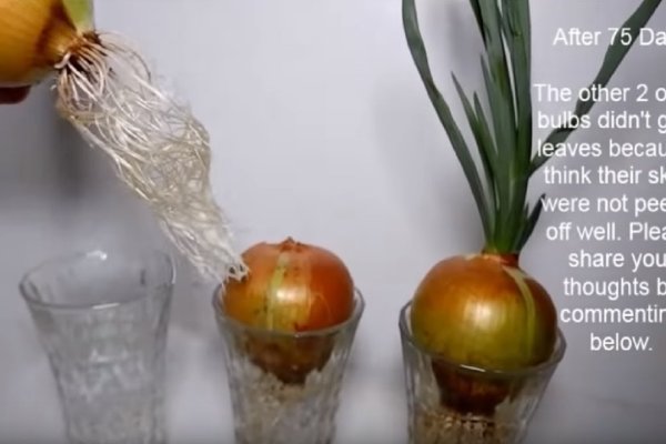 Кракен ссылка тор kr2web in