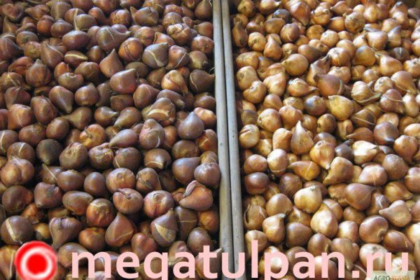 Кракен маркетплейс зеркало krk market com
