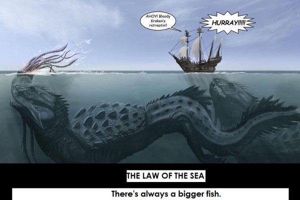 Kraken 25at