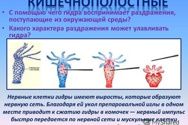 Кракен через впн