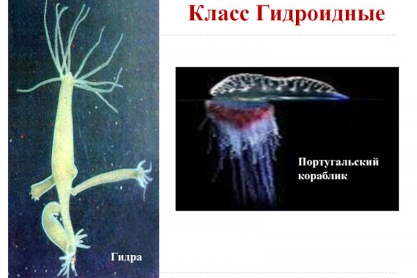 Кракен маркетплейс про