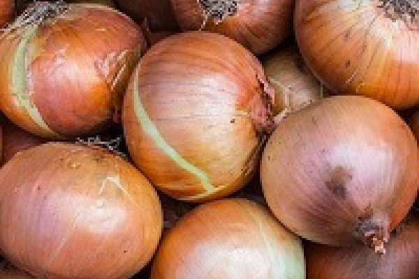 Кракен зеркало рабочее на сегодня