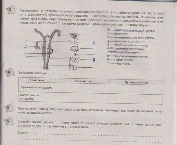 Войти даркнет