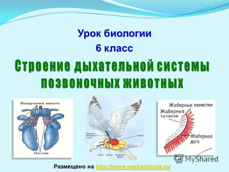 Кракен актуальные